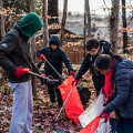 The Power of Volunteering: Exploring Opportunities with Community Organizations in Northern Virginia