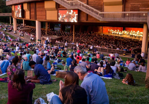 The Vibrant Community Organizations of Northern Virginia