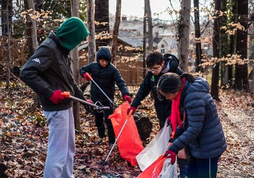 The Power of Volunteering: Exploring Opportunities with Community Organizations in Northern Virginia